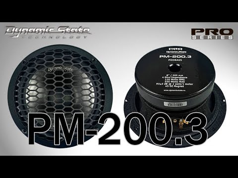 Низкочастотная акустика. Акустическая система DYNAMIC STATE PRO PM-200.3. Цена от – 7 590 руб. фото 2