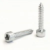 *Саморезы нерж. 25 мм. Цена – 20 руб.