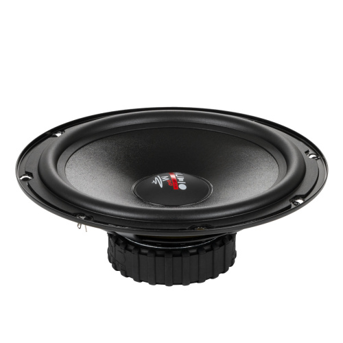 Низкочастотная акустика. Акустическая система AUDIO SYSTEM (Germany) MS200 EVO. Цена от – 12 850 руб. фото 4 Низкочастотная акустика. Акустическая система AUDIO SYSTEM (Germany) MS200 EVO. Цена от – 12 850 руб. фото 4