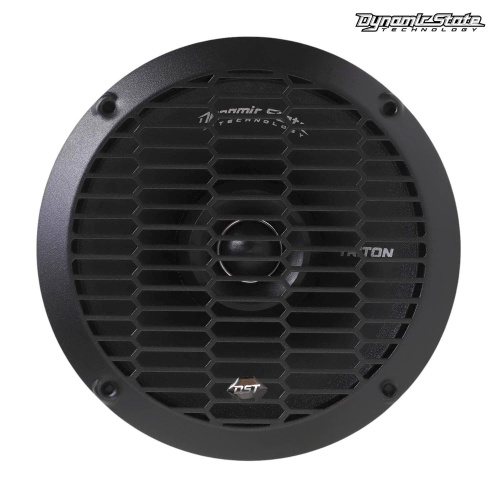 Акустика для яхт и катеров . Акустическая система DYNAMIC STATE TRITON TS-CX165. Цена от – 6&nbsp;350 руб. фото 2