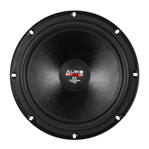 Низкочастотная акустика. Акустическая система AUDIO SYSTEM (Germany) MS200 EVO. Цена от – 12 850 руб. фото 5 Низкочастотная акустика. Акустическая система AUDIO SYSTEM (Germany) MS200 EVO. Цена от – 12 850 руб. фото 5