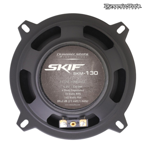 Среднечастотная акустика (Мидбасс). Акустическая система DYNAMIC STATE SKIF SKM-130. Цена от – 2 520 руб. фото 2