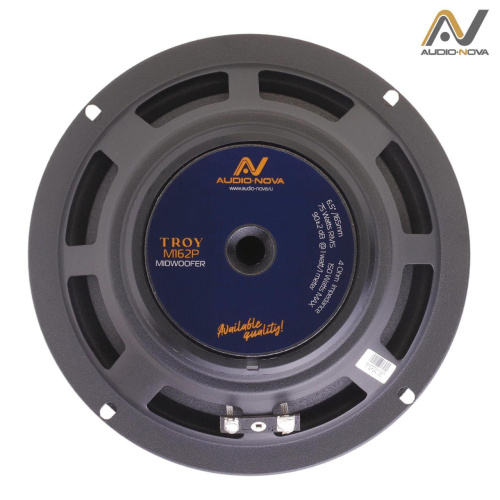 2 компонентная акустика. Акустическая система AUDIO NOVA TROY CS-162P. Цена от – 6 890 руб. фото 5