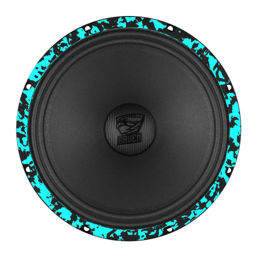 Среднечастотная акустика (Мидбасс). Акустическая система DL AUDIO RAVEN 250 V.3. Цена от – 12&nbsp;990 руб. фото 3