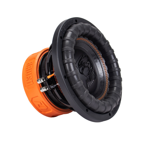 Сабвуфер DL AUDIO RAVEN 10 V.2. Цена – 10 490 руб.