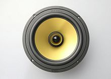 Среднечастотная акустика. Акустическая система STEG MGL6. Цена от – 35 890 руб.