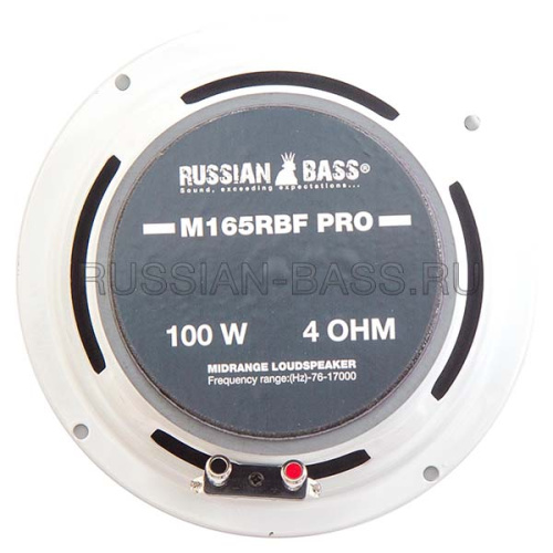 Среднечастотная акустика (Мидбасс). Акустическая система RUSSIAN BASS M165RBF PRO. Цена от – 3 990 руб. фото 2