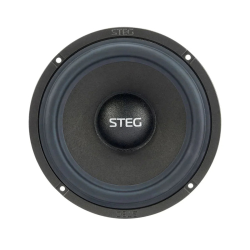 Среднечастотная акустика. Акустическая система STEG QK6. Цена от – 31 190 руб. фото 3