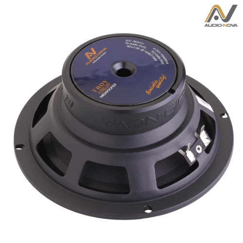 2 компонентная акустика. Акустическая система AUDIO NOVA TROY CS-162P. Цена от – 6 890 руб. фото 6