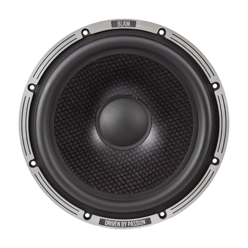 2 компонентная акустика. Акустическая система BLAM L200P. Цена от – 74 990 руб. фото 4 2 компонентная акустика. Акустическая система BLAM L200P. Цена от – 74 990 руб. фото 4