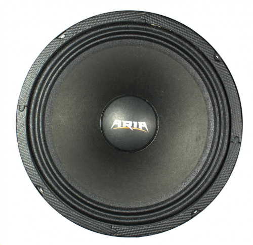 Среднечастотная акустика (Мидбасс). Акустическая система ARIA BZN-200S. Цена от – 2 850 руб. фото 2