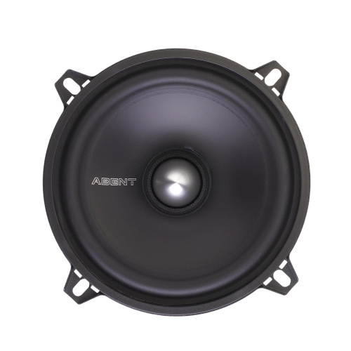 Среднечастотная акустика. Акустическая система ABENT AMP-13. Цена от – 1 940 руб. фото 5 Среднечастотная акустика. Акустическая система ABENT AMP-13. Цена от – 1 940 руб. фото 5