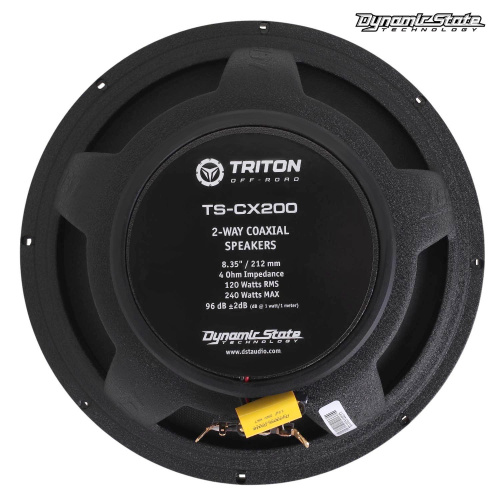 Акустика для яхт и катеров . Акустическая система DYNAMIC STATE TRITON TS-CX200. Цена от – 7&nbsp;250 руб. фото 6