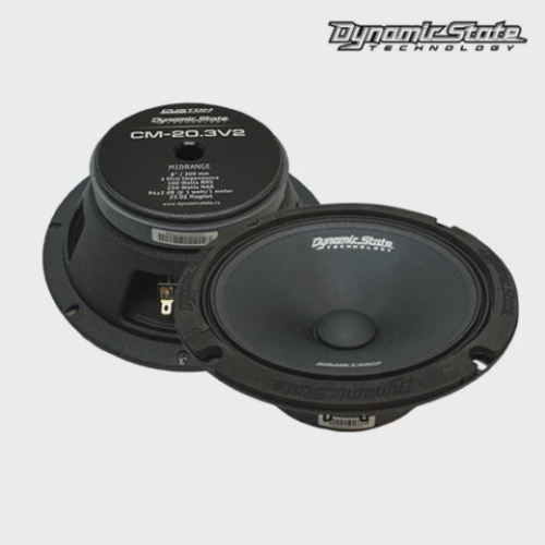 Среднечастотная акустика (Мидбасс). Акустическая система DYNAMIC STATE CUSTOM CM-20.3v2. Цена от – 5 530 руб. фото 3