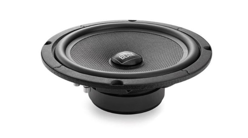 Низкочастотная акустика. Акустическая система BLAM W200RS. Цена от – 29 990 руб. фото 2 Низкочастотная акустика. Акустическая система BLAM W200RS. Цена от – 29 990 руб. фото 2