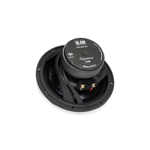 Низкочастотная акустика. Акустическая система BLAM S685. Цена от – 79 990 руб. фото 2