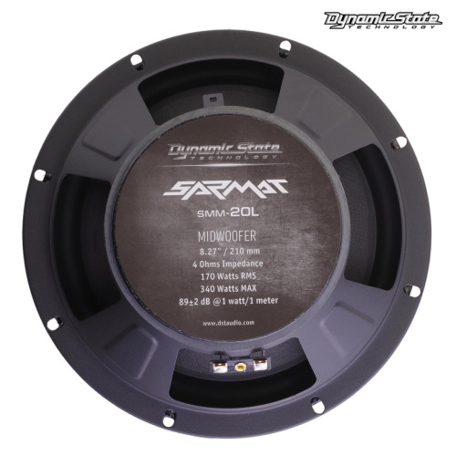 Среднечастотная акустика (Мидбасс). Акустическая система DYNAMIC STATE SARMAT SMM-20L. Цена от – 5 350 руб. фото 2