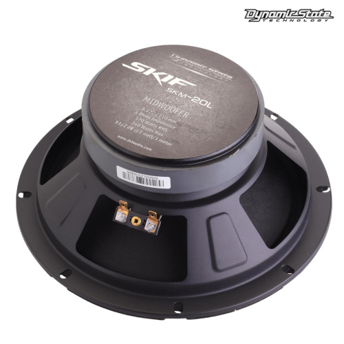 Среднечастотная акустика (Мидбасс). Акустическая система DYNAMIC STATE SKIF SKM-20L. Цена от – 4 850 руб. фото 2