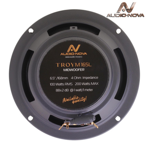 2 компонентная акустика. Акустическая система AUDIO NOVA TROY CS-162L. Цена от – 5 320 руб. фото 2