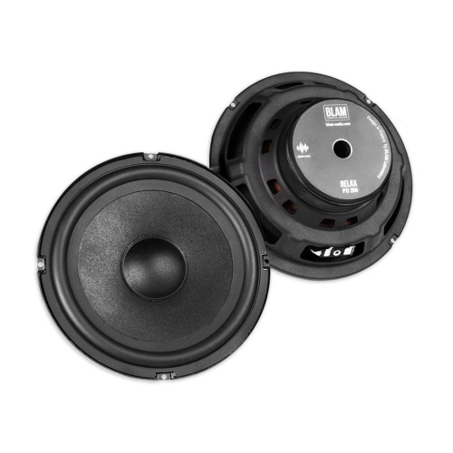 Низкочастотная акустика. Акустическая система BLAM PO200. Цена от – 39&nbsp;990 руб.