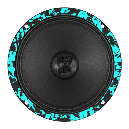 Среднечастотная акустика (Мидбасс). Акустическая система DL AUDIO RAVEN 165 V.3. Цена от – 6&nbsp;590 руб. фото 3
