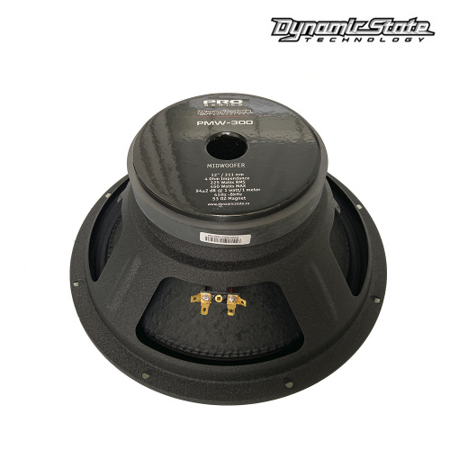Среднечастотная акустика (Мидбасс). Акустическая система DYNAMIC STATE PRO PMW-300. Цена от – 6 850 руб. фото 3