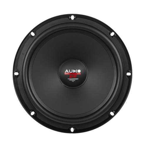 2 компонентная акустика. Акустическая система AUDIO SYSTEM (Germany) R200 EM EVO2. Цена от – 23&nbsp;090 руб. фото 5