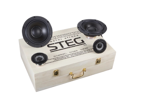 2 компонентная акустика. Акустическая система STEG SS652C. Цена от – 57 990 руб. фото 2