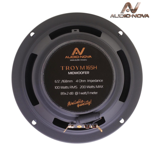 2 компонентная акустика. Акустическая система AUDIO NOVA TROY CS-162H. Цена от – 5 320 руб. фото 2
