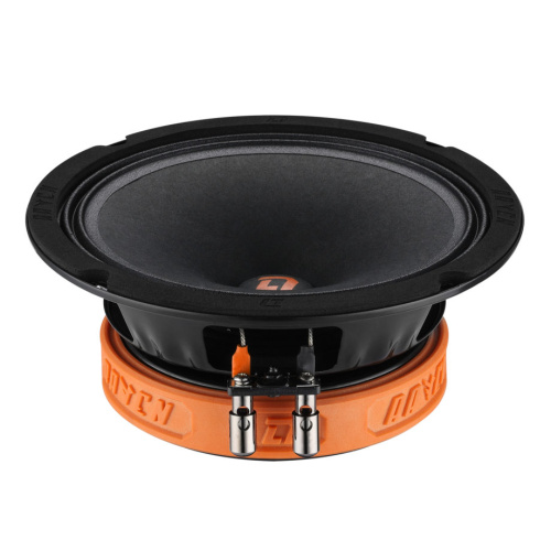Среднечастотная акустика (Мидбасс). Акустическая система DL AUDIO RAVEN 165 v2. Цена от – 4 990 руб.