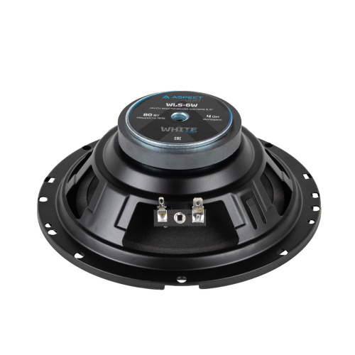 Низкочастотная акустика. Акустическая система ASPECT WLS-6W. Цена от – 1&nbsp;990 руб. фото 3