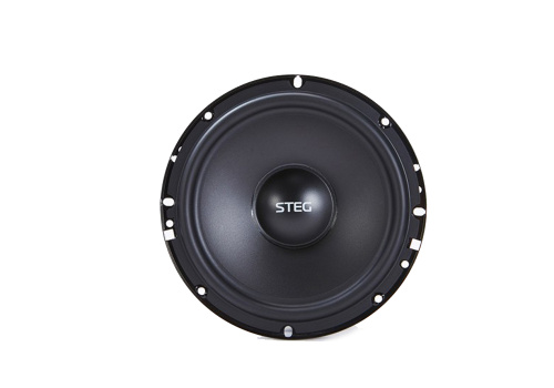 2 компонентная акустика. Акустическая система STEG LEO 650 C. Цена от – 8&nbsp;600 руб. фото 2