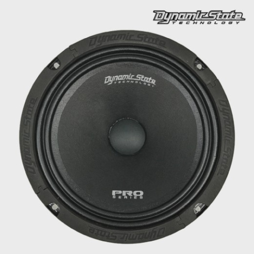 Среднечастотная акустика (Мидбасс). Акустическая система DYNAMIC STATE PRO PM-200.1. Цена от – 3 280 руб.