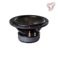 *Низкочастотная акустика. Акустическая система BLAM S6300. Цена от – 96 990 руб.