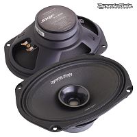 Среднечастотная акустика (Мидбасс). Акустическая система DYNAMIC STATE SKIF SKM-690. Цена от – 3 760 руб.
