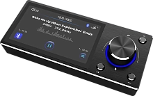 *Пульт дистанционного управления GOLDHORN Panel Controller with Display for Player. По цене – 19 990 руб.