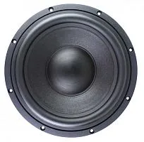 *Сабвуфер SOAUDIO SO250. Цена – 64 890 руб.