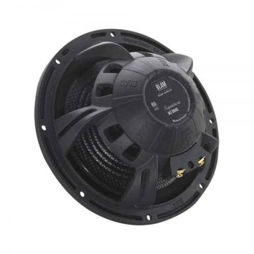 Низкочастотная акустика. Акустическая система BLAM WS6N45. Цена от – 68 990 руб. фото 2 Низкочастотная акустика. Акустическая система BLAM WS6N45. Цена от – 68 990 руб. фото 2