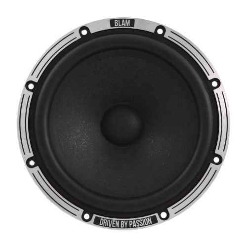 Низкочастотная акустика. Акустическая система BLAM LW165LSQ. Цена от – 32 990 руб. фото 4