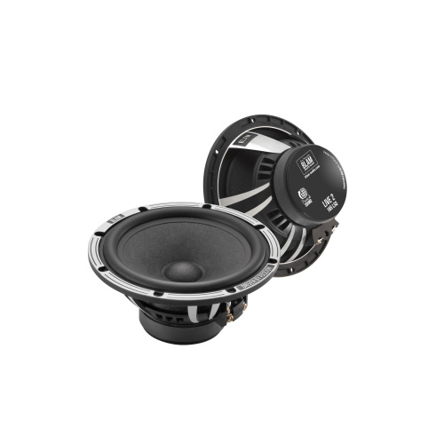 Низкочастотная акустика. Акустическая система BLAM LW165LSQ. Цена от – 32 990 руб.