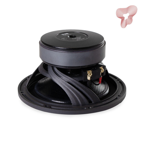 Низкочастотная акустика. Акустическая система BLAM S6300. Цена от – 96 990 руб. фото 2 Низкочастотная акустика. Акустическая система BLAM S6300. Цена от – 96 990 руб. фото 2