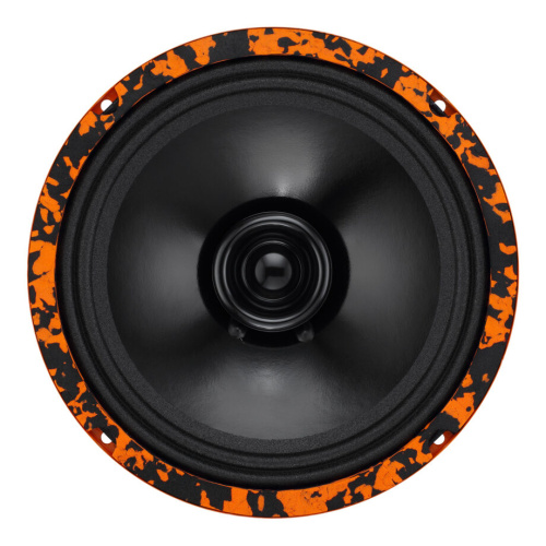 Среднечастотная акустика (Мидбасс). Акустическая система DL AUDIO GRYPHON LITE 200 V.2. Цена от – 3 490 руб. фото 2