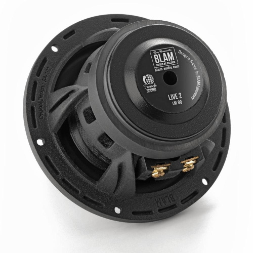 Среднечастотная акустика. Акустическая система BLAM LM 80. Цена от – 24 990 руб. фото 2 Среднечастотная акустика. Акустическая система BLAM LM 80. Цена от – 24 990 руб. фото 2