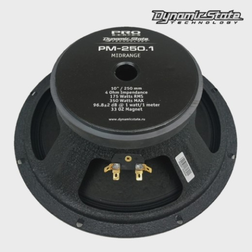 Среднечастотная акустика (Мидбасс). Акустическая система DYNAMIC STATE PRO PM-250.1. Цена от – 3 850 руб. фото 2