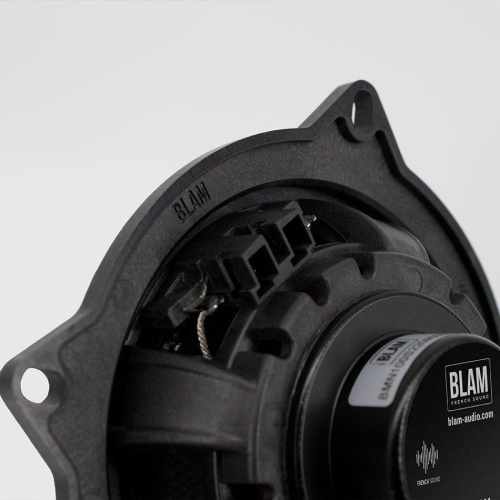 Акустика для BMW. Акустическая система BLAM BM 100NS. Цена от – 34&nbsp;990 руб. фото 2