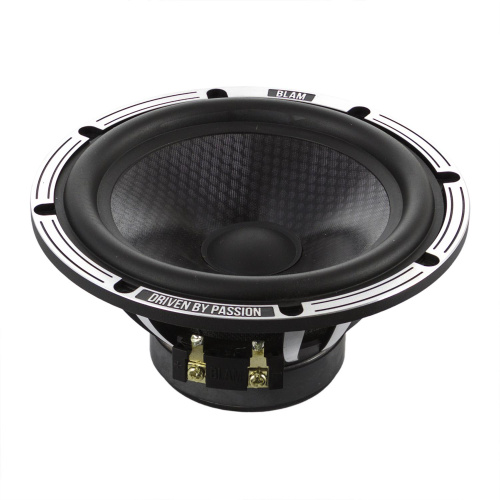 Низкочастотная акустика. Акустическая система BLAM LW165A. Цена от – 35 990 руб. фото 5