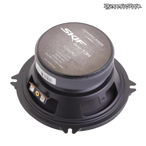 Среднечастотная акустика (Мидбасс). Акустическая система DYNAMIC STATE SKIF SKM-13H. Цена от – 3 090 руб. фото 2