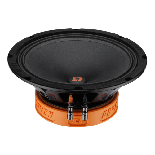 Среднечастотная акустика (Мидбасс). Акустическая система DL AUDIO RAVEN 200 v2. Цена от – 5 990 руб.