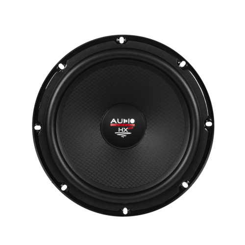 Низкочастотная акустика. Акустическая система AUDIO SYSTEM (Germany) EX200 SQ EVO3. Цена от – 25&nbsp;690 руб. фото 5
