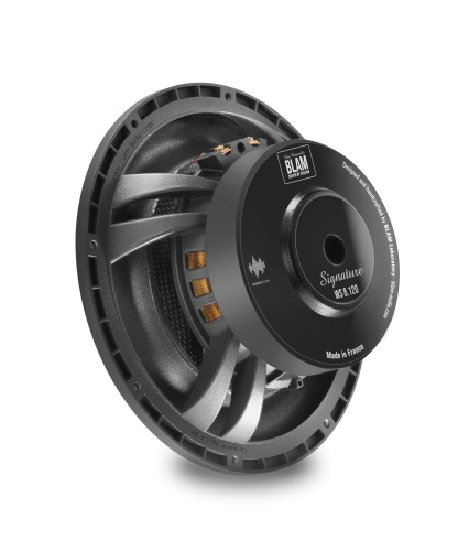 Сабвуфер BLAM WS8120. Цена – 114 990 руб. фото 3 Сабвуфер BLAM WS8120. Цена – 114 990 руб. фото 3